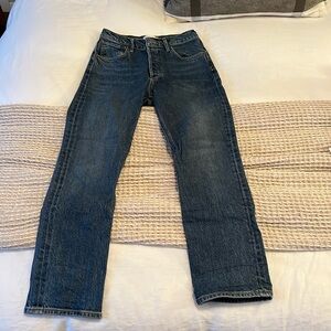 Agolde Riley High Rise Straight Jeans